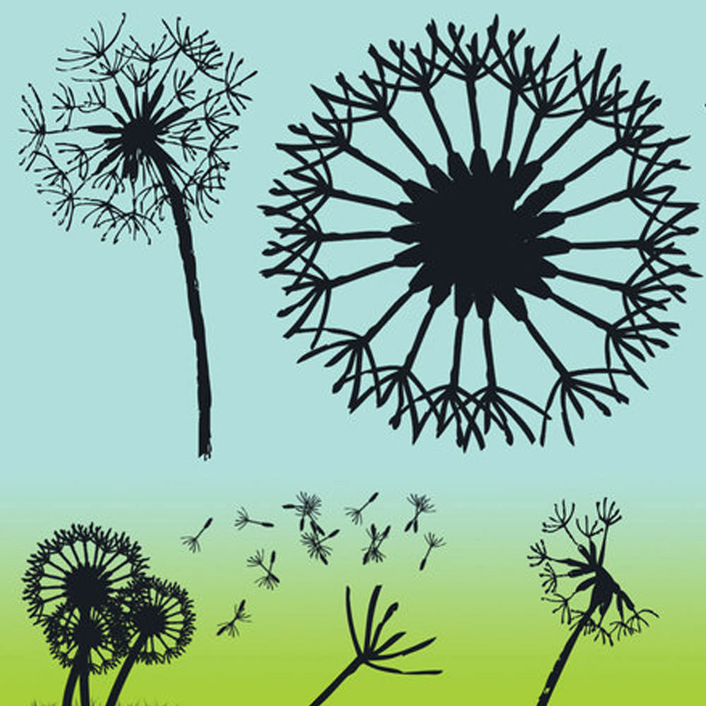 Dandelion Puff Photoshop Brushes