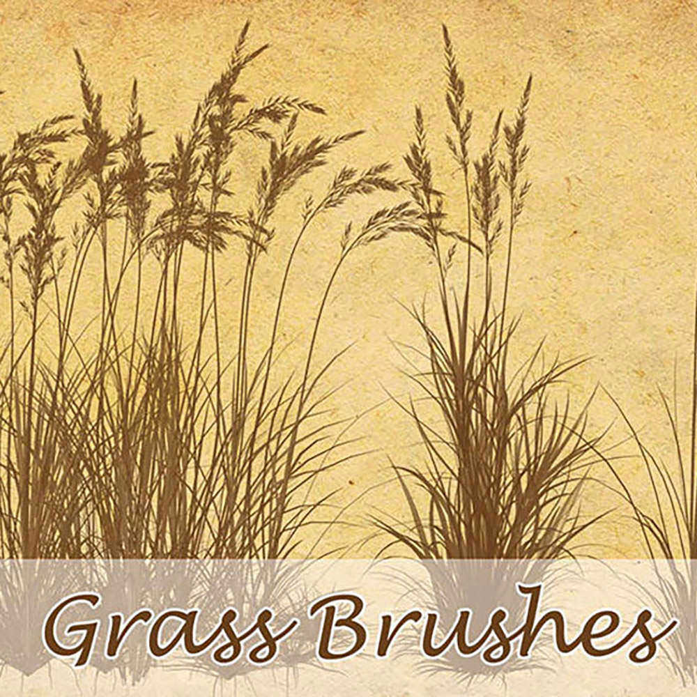 Grass Photoshop Brushes