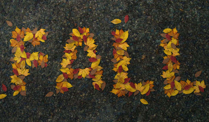 Creating a Realistic Autumn Leaves Text Effect