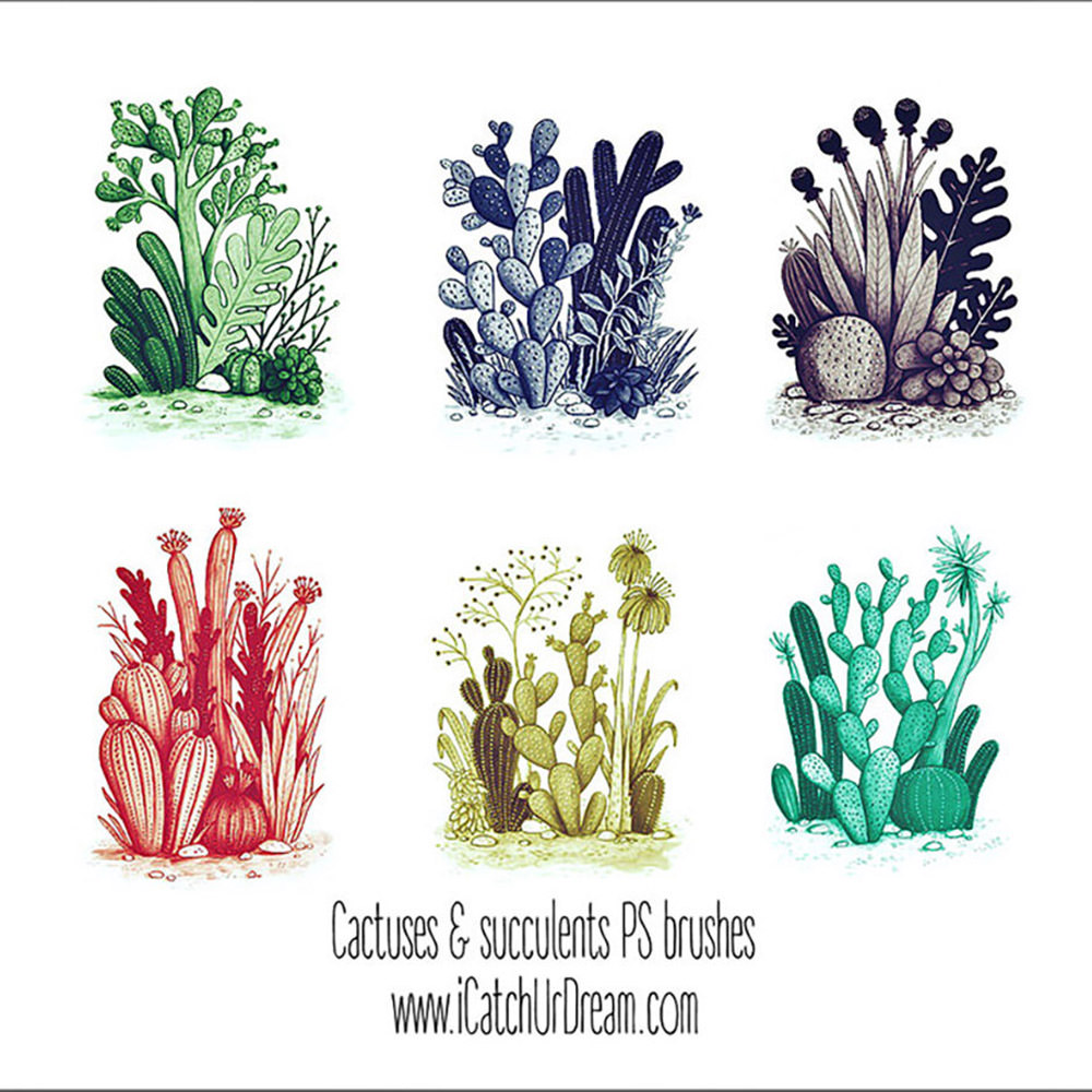 Cactuses Plants Photoshop Brushes